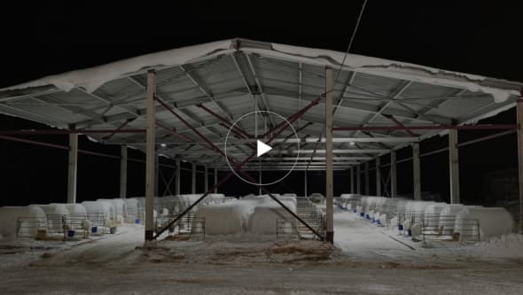 Навес для выращивания телят в с.Гавриловское. Серия: ИЗЛК РУС КБ-300.2021. Размеры: ш 18 х д 42 х в 4 
